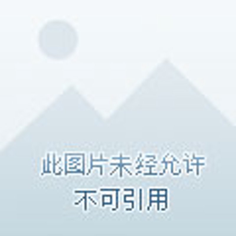 国际货运,一场跨国之旅的幕后英雄